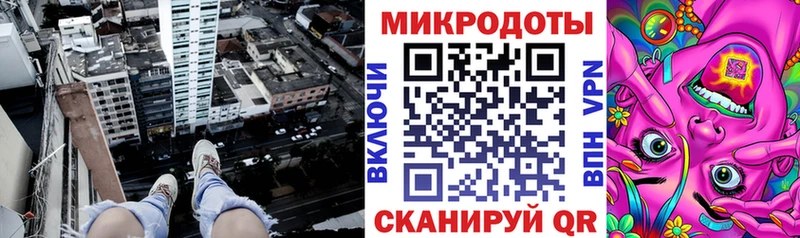 Псилоцибиновые грибы Cubensis Зея